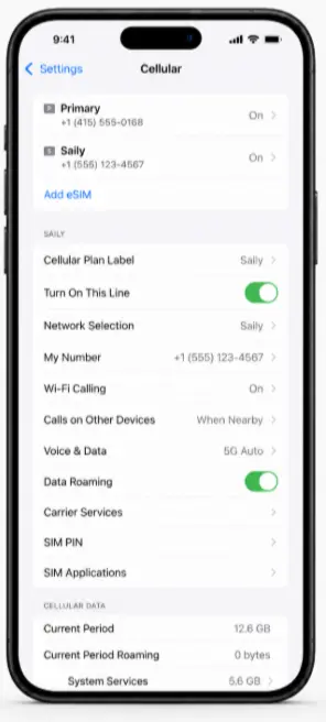 Saily Coupon Code 2026: Verified 10% Off With ESIMDUDE 22 Saily eSIM data roaming enabled on iPhone